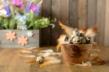 Easter composition with quail eggs, feathers, and spring flowers on a old wooden table.