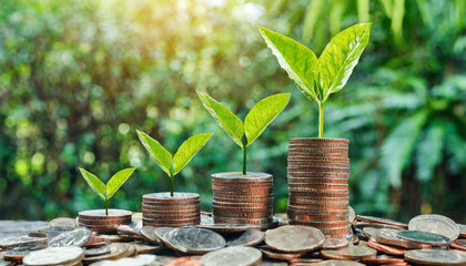 a row of stacks of coins with a plant growing out of them. Tree leaf on save money coins, Business finance saving banking investment concept. - obrazy, fototapety, plakaty