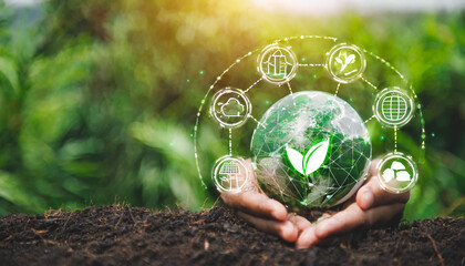 Net Zero and Carbon Neutral Concepts Net Zero Emissions Goals Weather neutral long-term strategy
