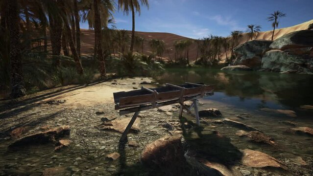 An old wooden Dredge in desert oasis