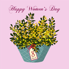 Happy Women`s Day. Yellow mimosa bouquet in blue basket with card for 8th march. Spring flowers for international Women`s Day. Vector illustraionisolated on pink background