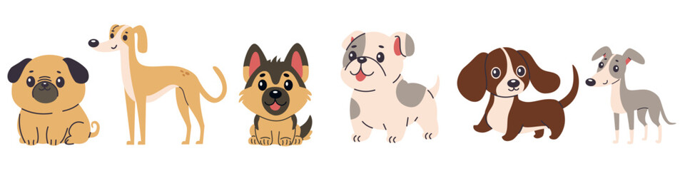 Set of flat vector illustrations of dogs of different breeds. Greyhound, chihuahua, French bulldog, pug, German shepherd, dachshund. Vector illustration