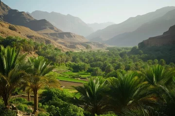 Gordijnen lush and prosperous Arabic date palm farm © SaroStock