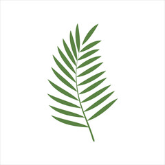 Palm leaves icon. Green color. Easter symbol. The art of minimalism.