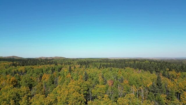 autumn landscape with trees and clouds. Fall season at clear pastel blue sky. flying drone aerial view. slow movement in the air. stabilizing in the air. colorful tree in natural environment concept