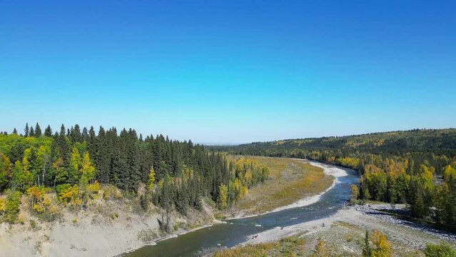 Autumn season fall yellow leaves at river in the forest. drone flying alone beautiful river. changing color of pine trees giving romantic vibes for traveling in a nature to reflect in peaceful mind