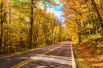 Autumn Splendor on Keweenaw Road - Vibrant Forest Canopy