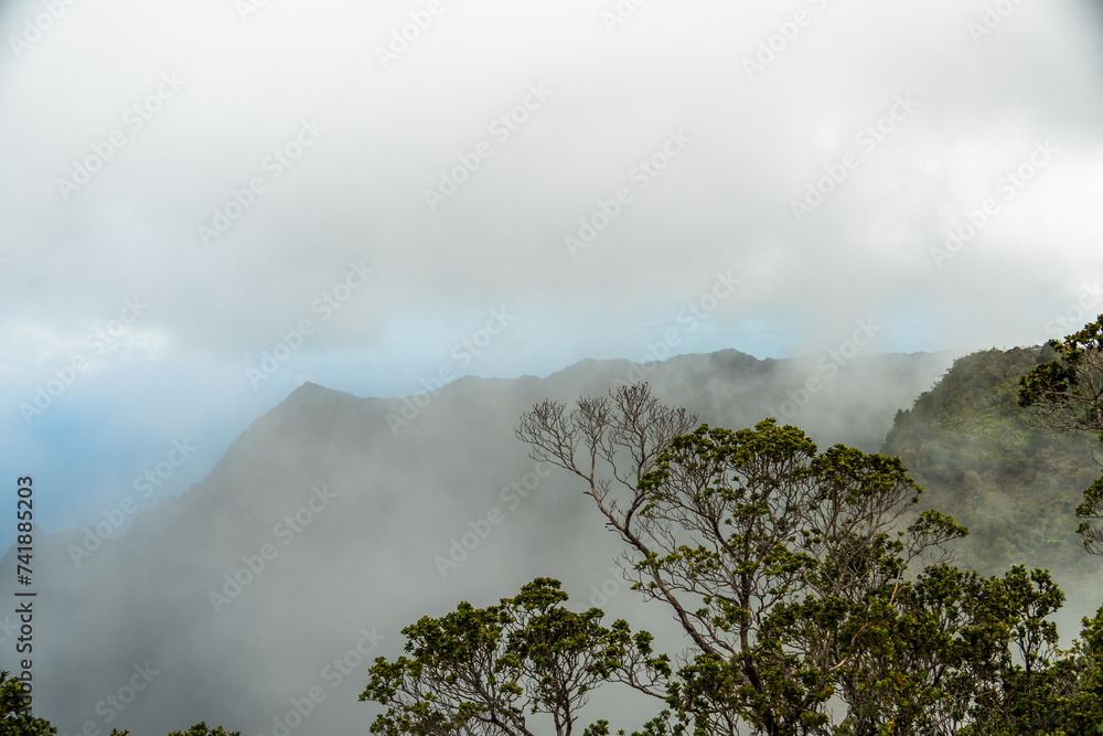 Sticker a hawaiian landscape