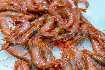 Fresh prawns in the market on the ice - Spain