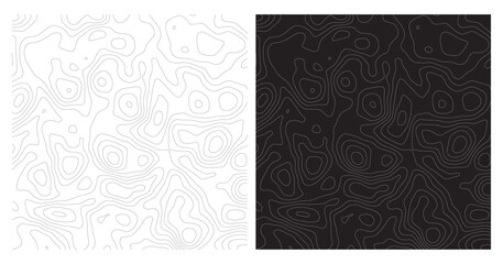 Topographic Map Pattern black and white