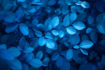 cool blue leaves background