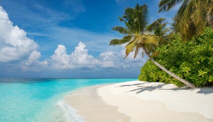 Fototapeta premium beautiful beaches in the maldives