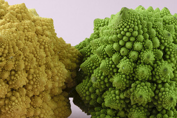 La bellezza dei frattali nei broccoli romani