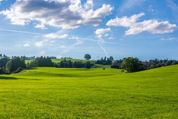 Green landscape in Allgovia, Germany - 741904856