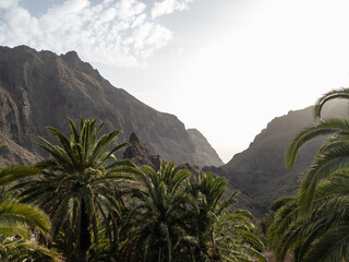 Masca Canyon in sunlight on Tenerife. - 741905637