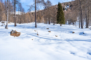 Winter landscape with snow covered Dolomites in Kronplatz, Italy