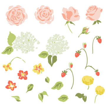 Vector clip art set of individual flowers, roses, hydrangeas and strawberries