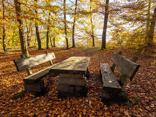 bench and table in autumn forest - 741913819