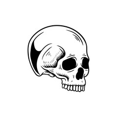 Skull Vector illustration, Collection Of Hand Drawn Skulls