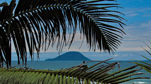 Montao de Trigo island  on the horizon, framed by palm leaves.