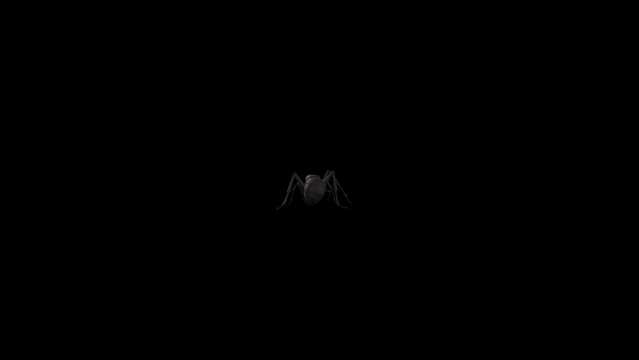 3D Ant Insect is walking away from near animation with back view on alpha matte, 4k little ant Insect running render on black background, Included at the end of the clip alpha channel