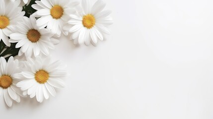 Generative AI Bouquet of white daisies on a white background with copy space photorealistic