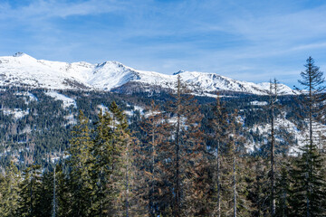 Winter landscape with snow covered Dolomites in Kronplatz, Italy