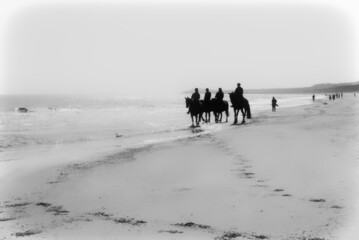 Group of people riding horses on the beach against clear sky - 741940638