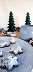 Fototapeta na wymiar Handmade winter cookies with powder sugar. Christmas composition. Side view.