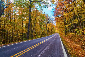 Golden Hour on a Scenic Autumn Road, Keweenaw Forest Canopy