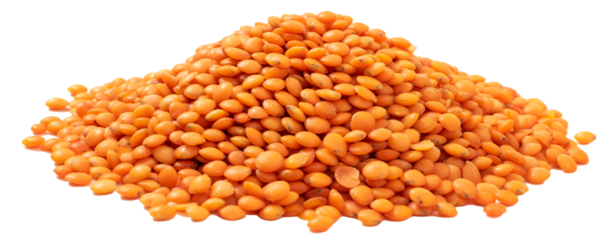 Raw Dry Lentils, Lentil Grains, Dal, Daal, Dhal, Masoor