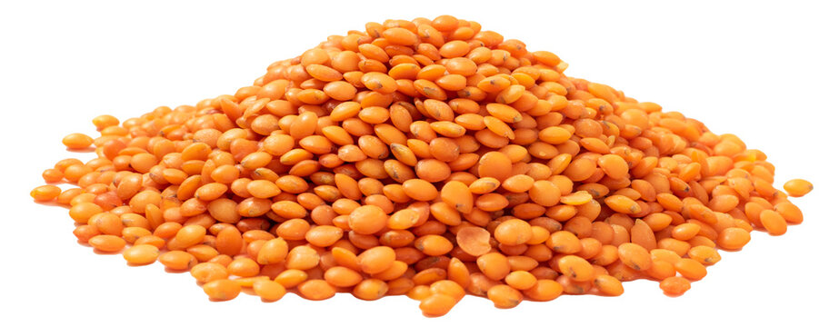 Raw Dry Lentils, Lentil Grains, Dal, Daal, Dhal, Masoor