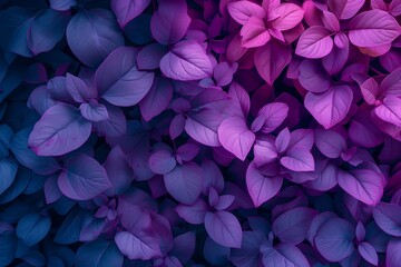 deep purple leaves - obrazy, fototapety, plakaty