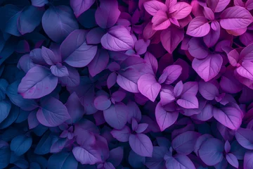 Schilderijen op glas deep purple leaves © StockUp