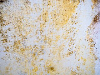 Mold and plaque on bathroom enamel. Dirt and infection. Needs cleaning.