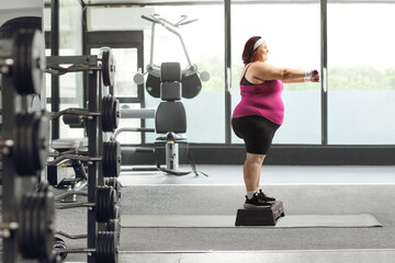 Fototapeta na wymiar Woman standing on a stepper and exercising with dumbbells