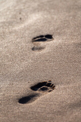 Footsteps on sandy beach on sunset lights