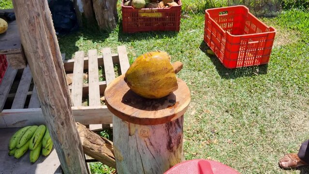 Un granjero parte un coco en dos para entregárselo a un comprador en el Valle de Antón, Panamá.