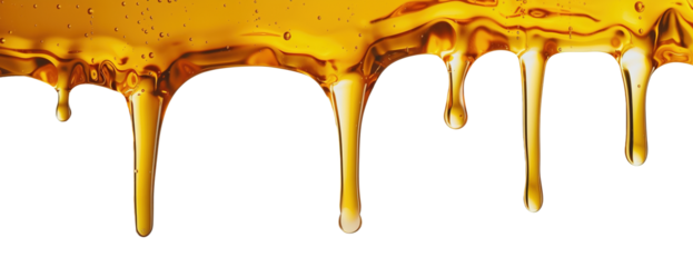Liquid honey dripping over white transparent background