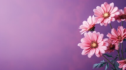 Exquisite flower with ample space for text, set against a captivating purple background