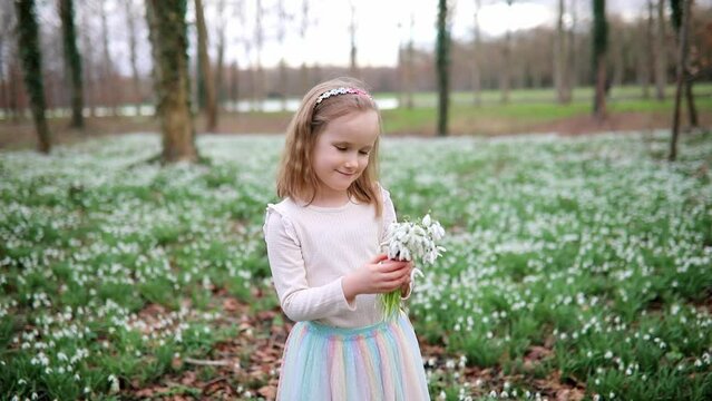 Cute preschooler girl in green tutu skirt gathering snowdrop flowers in park or forest on a spring day. Little kid exploring nature. Outdoor activities for children