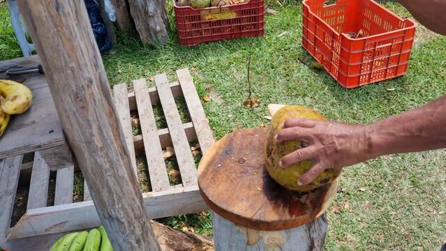 Un granjero rompe un coco con un machete para beber su agua en el Valle de Antón, Panamá.