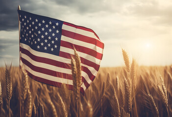 wheat rye field, american flag field, sunlit wheat field, golden light streaming, independence day concept, amidst the golden stalks