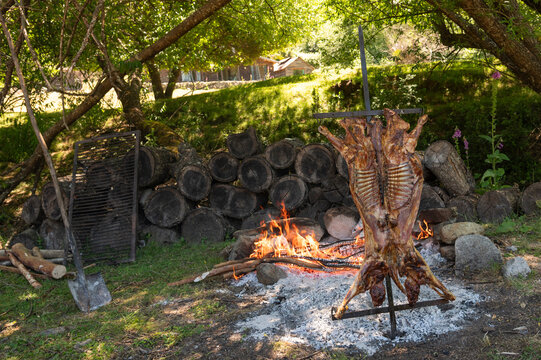 Preparation of sheep to the cross. Roast lamb over the fire, traditional food from the Argentine countryside. It can be seen at all festivals.