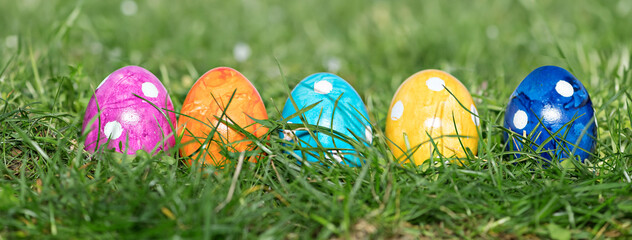 Row of Easter eggs in Fresh Green Grass
