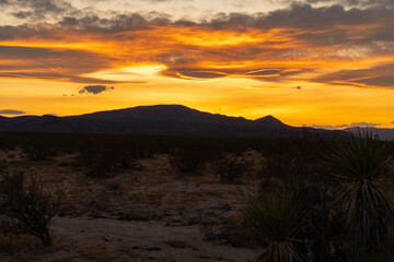 Dirt Road Sunset