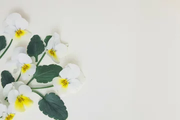 Fotobehang Kwiatki na kartce białego arkuszu, miejsce na tekst © Katarzyna
