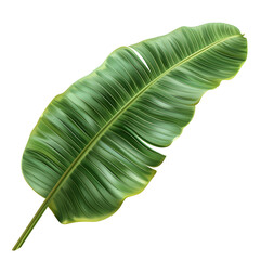 banana Leaf