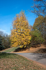 Autumn view of South Park in city of Sofia, Bulgaria