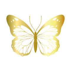 Decorative, winged insect of a golden butterfly. Vector graphics.